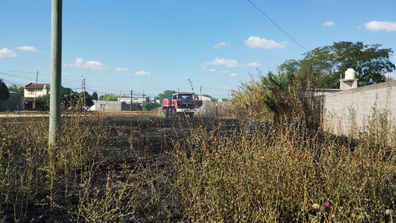 Vecinos apagaron incendio antes de la llegada de los Bomberos